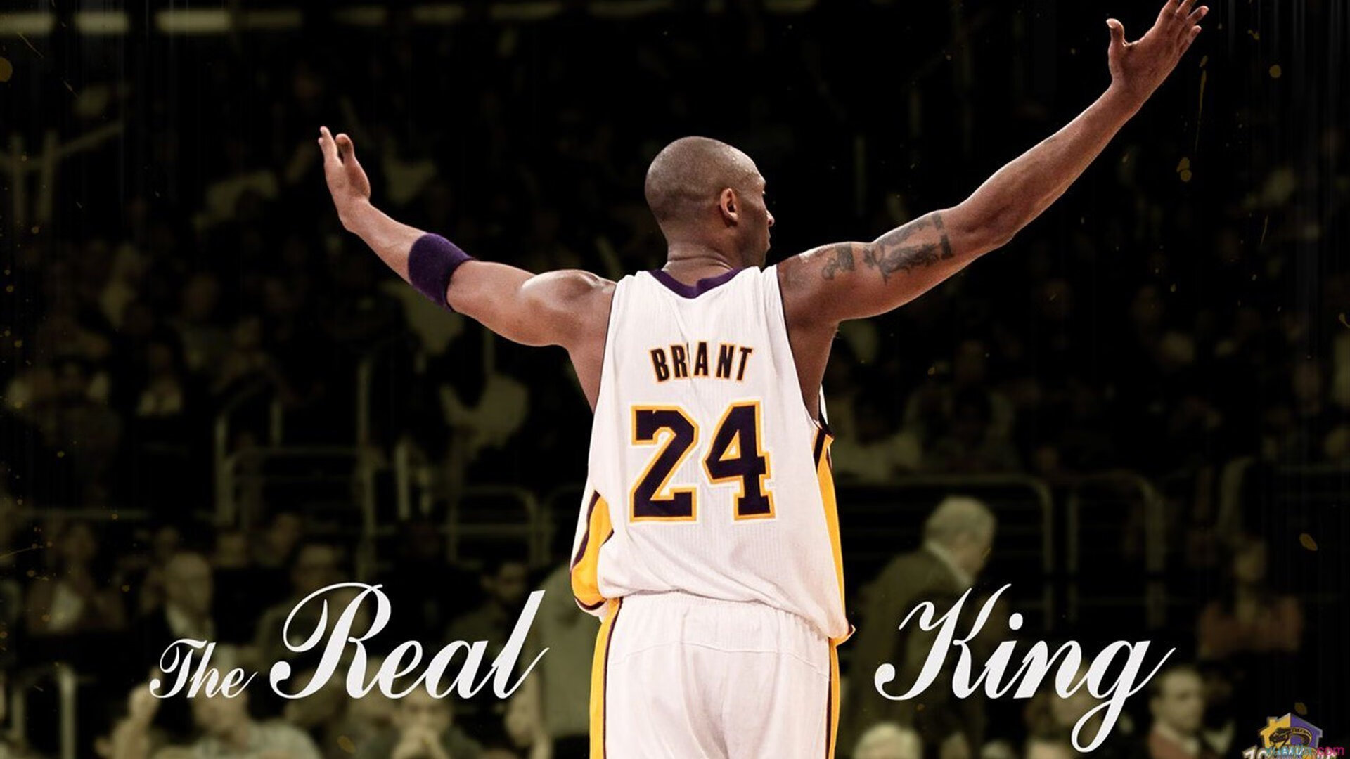 冠军背后的汗水与坚持，冠军背后的努力